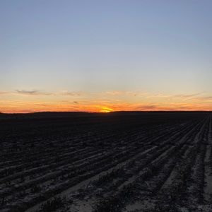 Meet your Posher, Tanner